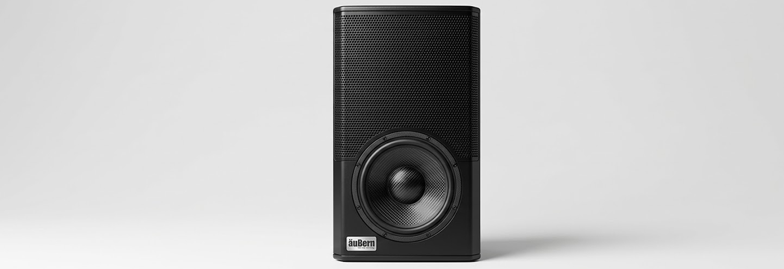Aubern GT-12 yang Sangat Cocok sebagai Speaker Full Range di Ballroom