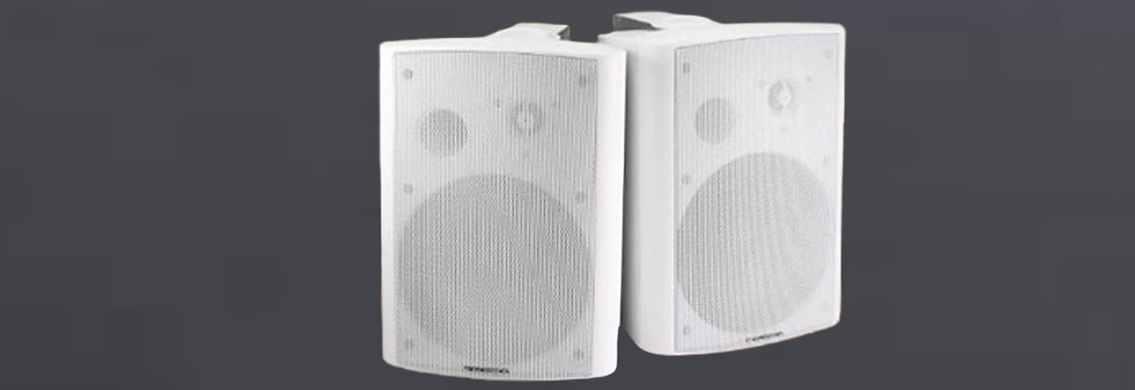 Aubern Wall Speaker GS-5 sebagai Wall Speaker dengan Harga Ekonomis yang Cocok Digunakan oleh Imam Masjid dalam Kegiatan Masjid atau Mushola