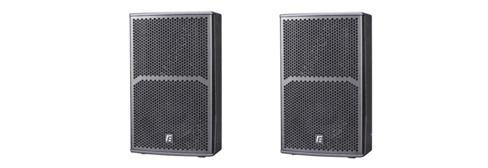 RF Single 10 Inch Full-range Speaker - TX10
